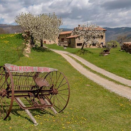 Can Gallo Llanars Dış mekan fotoğraf