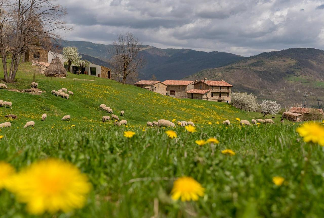 Can Gallo Llanars Dış mekan fotoğraf